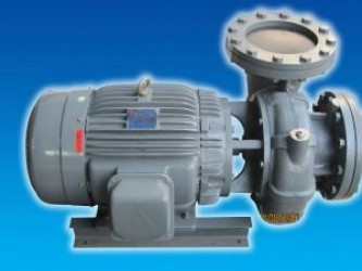 Moto Teco 3P chính hãng